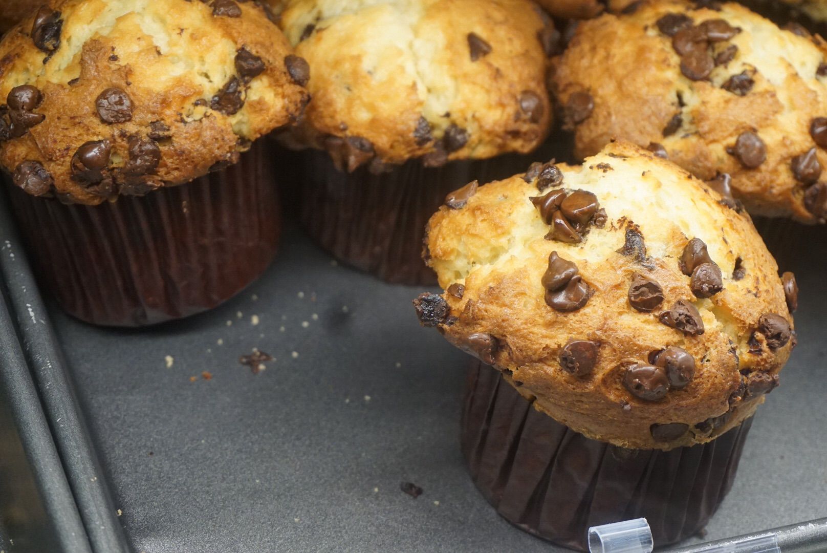 Roaring Fork Breakfast Taste of Disney